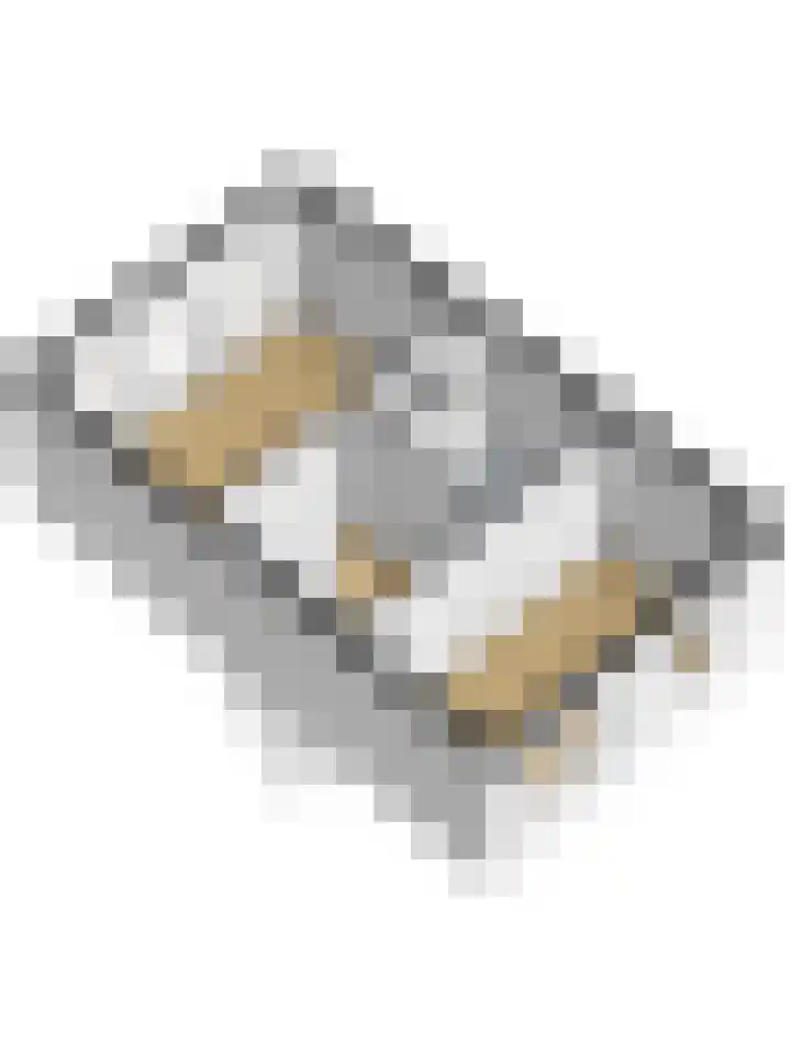 Bekkershof 6 Dordrecht thumbnail 41