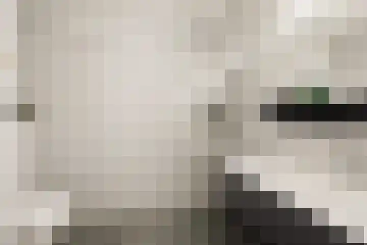 Bekkershof 6 Dordrecht thumbnail 5