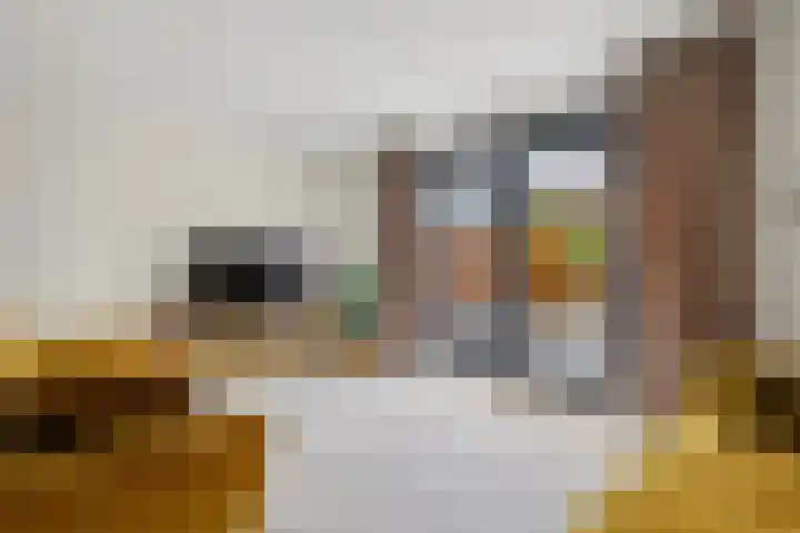 Bekkershof 6 Dordrecht thumbnail 9