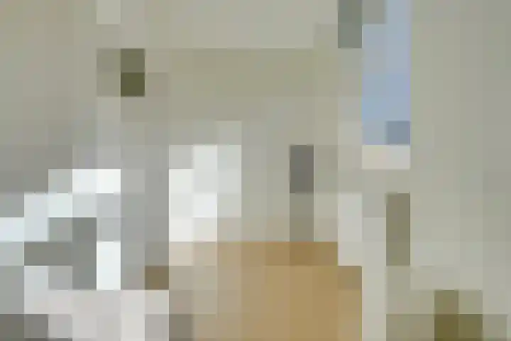 Bekkerstraat 102 Utrecht thumbnail 31