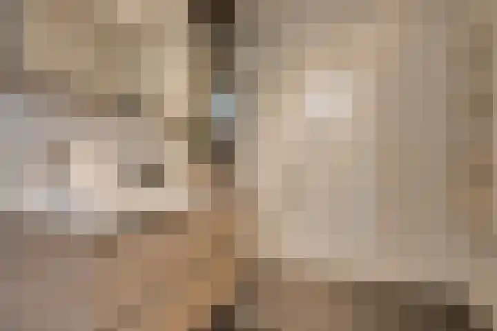 Bekkerstraat 102 Utrecht thumbnail 33