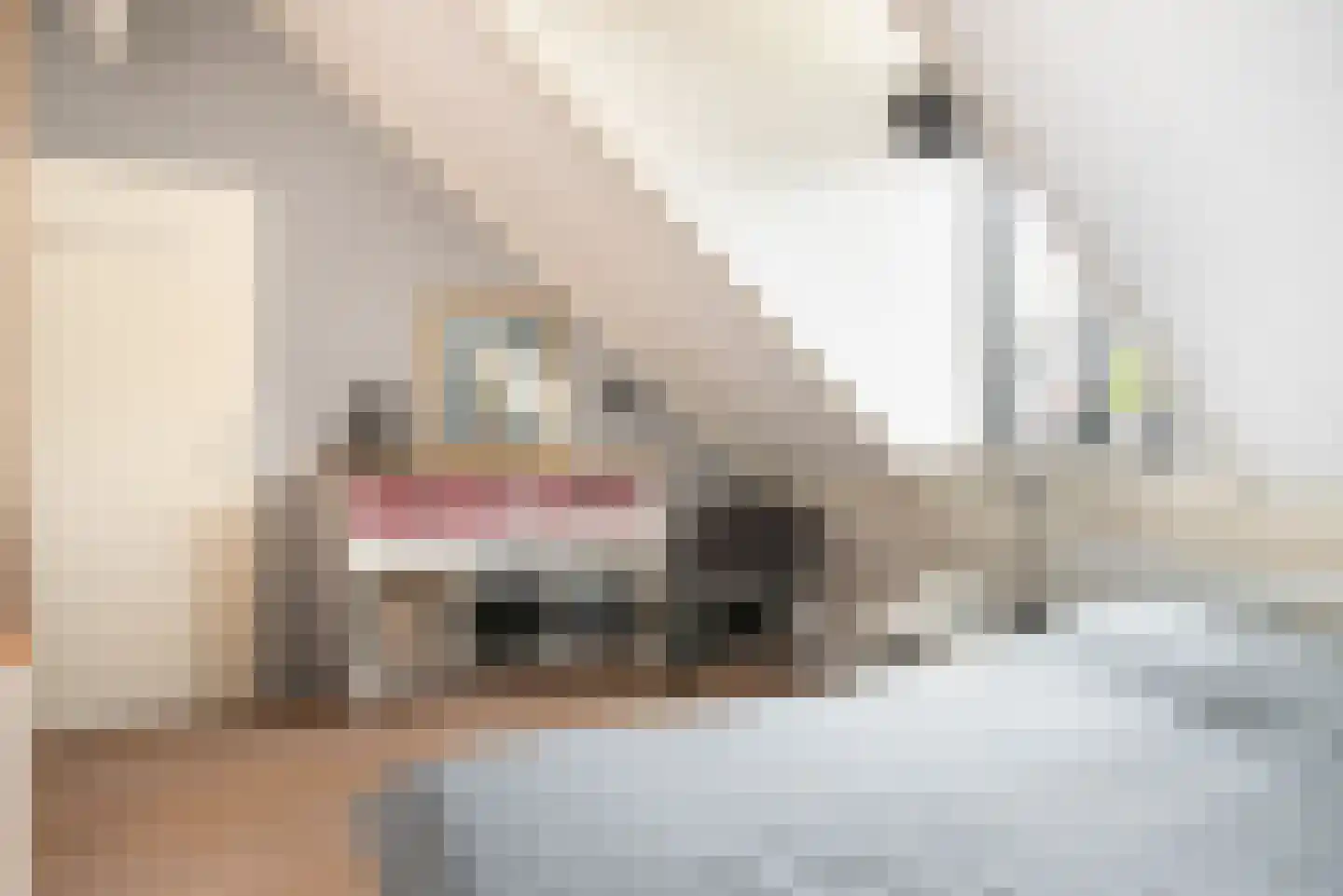 Bekkerstraat 11 Utrecht thumbnail 32