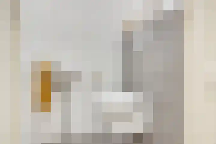 Bekkerstraat 17 Utrecht thumbnail 33