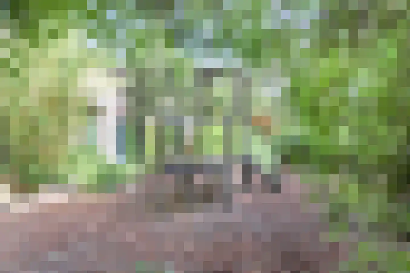 Bekkerstraat 2 C Utrecht thumbnail 24