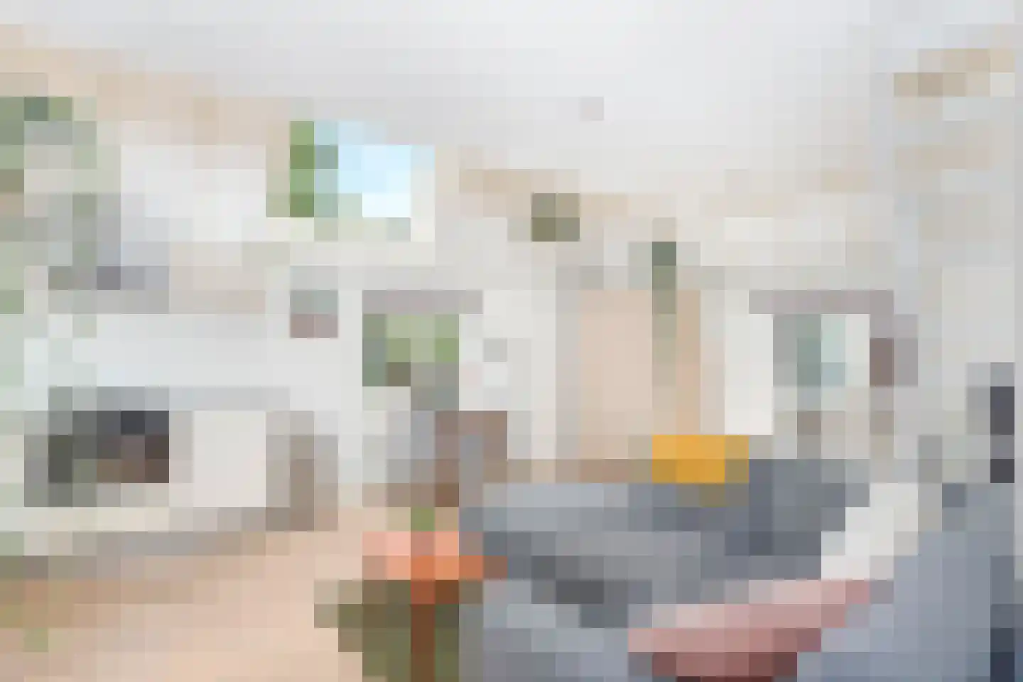 Bekkerstraat 2 C Utrecht thumbnail 5