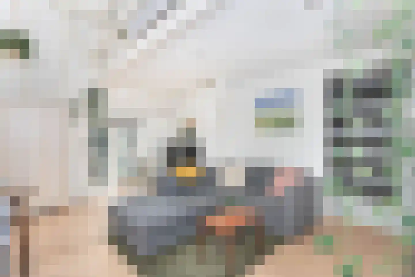 Bekkerstraat 2 C Utrecht thumbnail 6