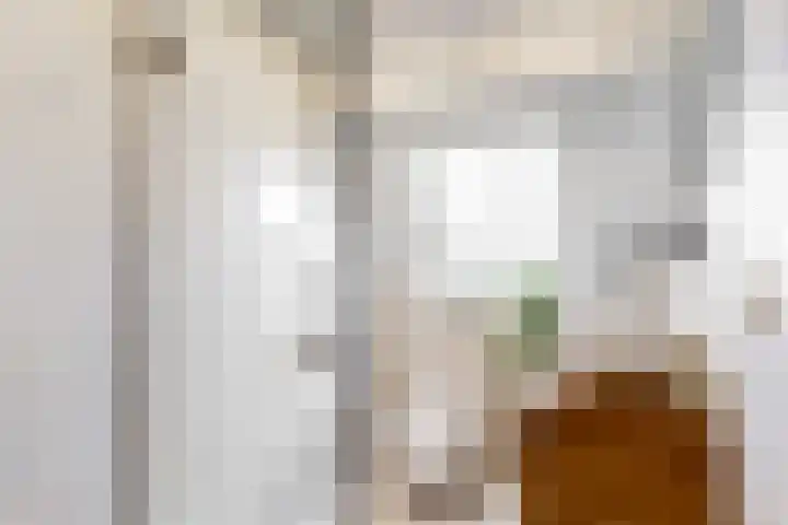 Bekkerstraat 35 Utrecht thumbnail 5