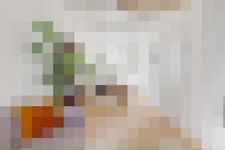 Bekkerstraat 35 Utrecht thumbnail 7