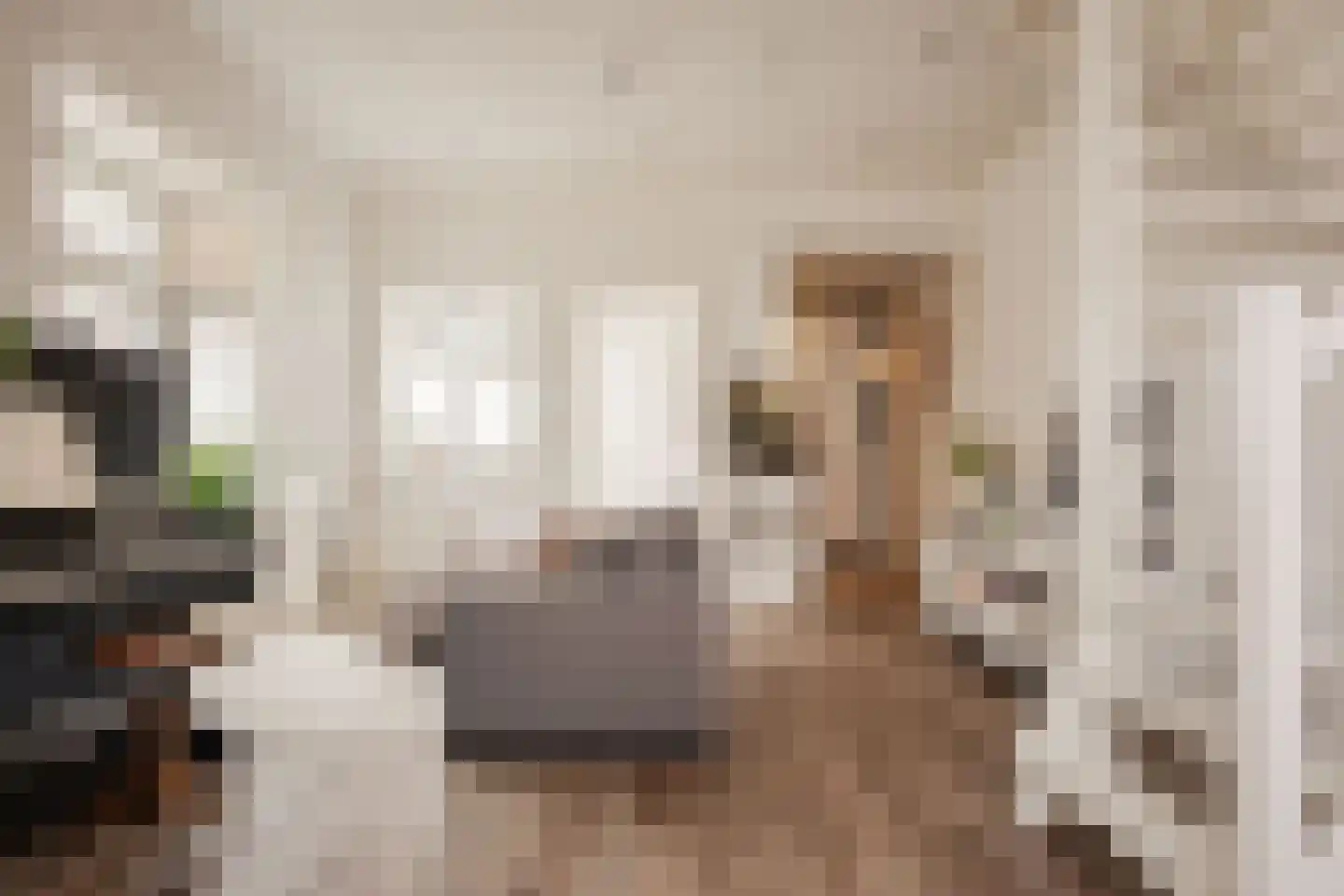 Bekkerstraat 45 Utrecht thumbnail 7