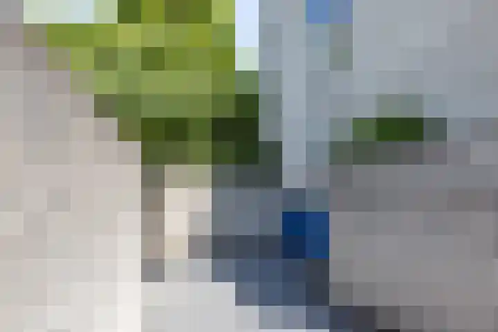 Bekkerweg 85 A Heerlen thumbnail 33