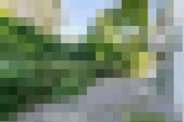 Bekkerweg 87 F Heerlen thumbnail 30