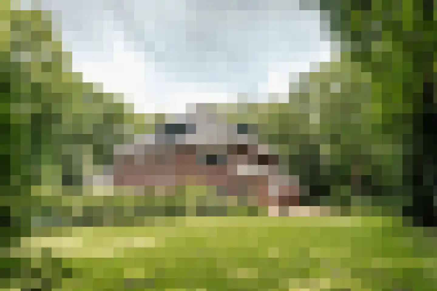 Bekslaan 15 Vogelenzang thumbnail 10