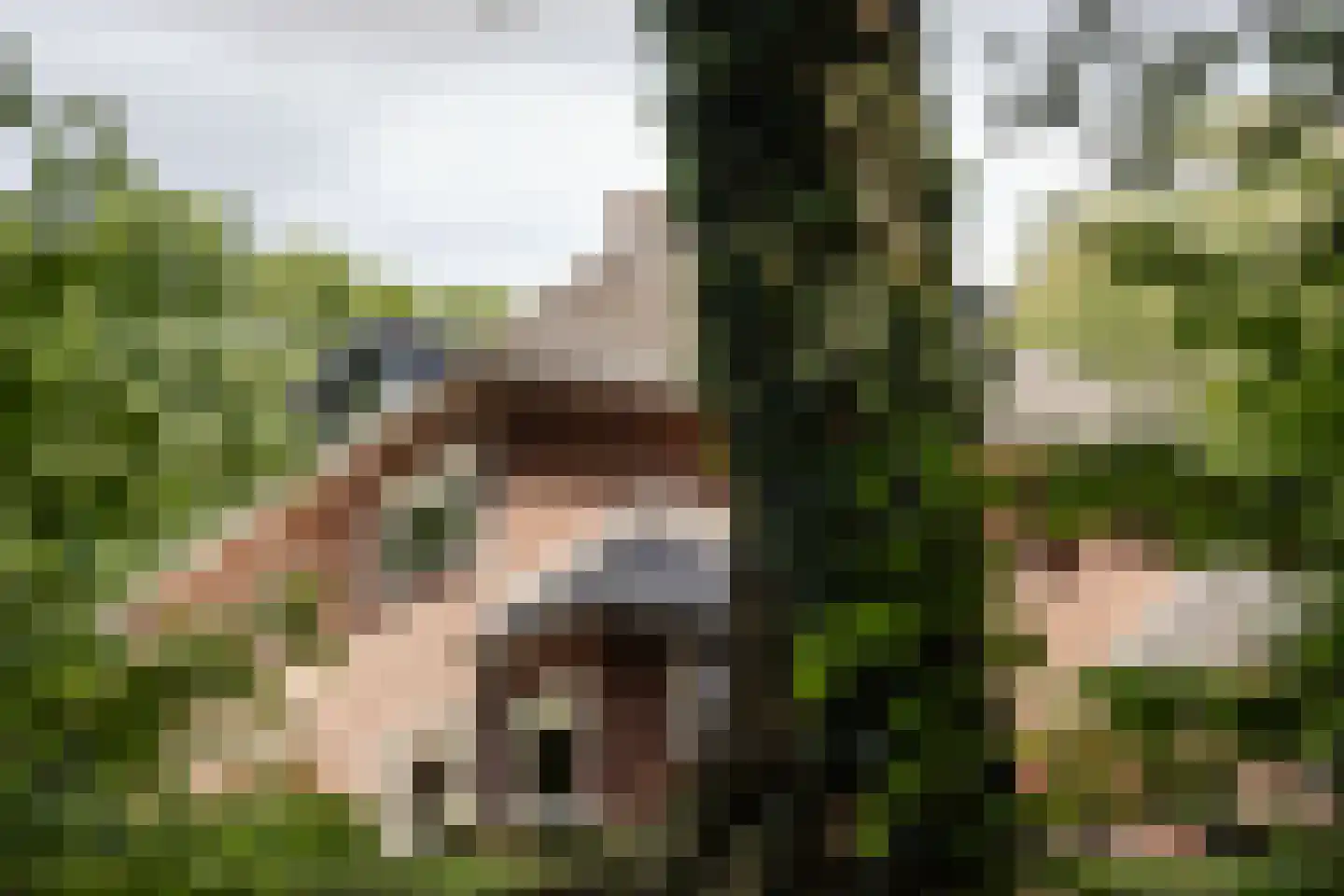 Bekslaan 15 Vogelenzang thumbnail 11