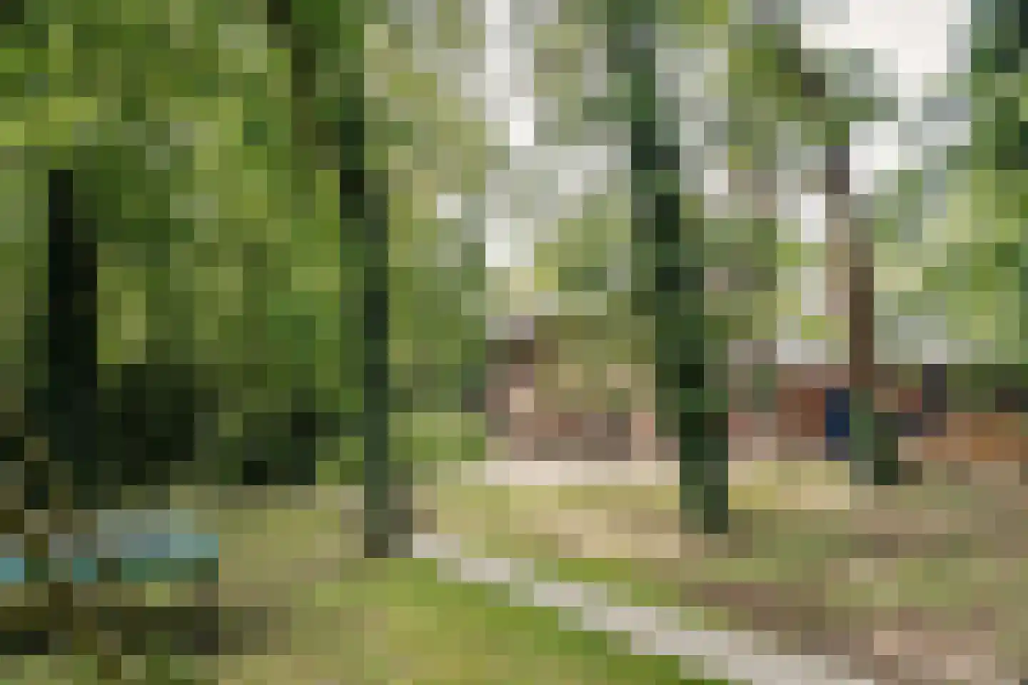 Bekslaan 15 Vogelenzang thumbnail 44