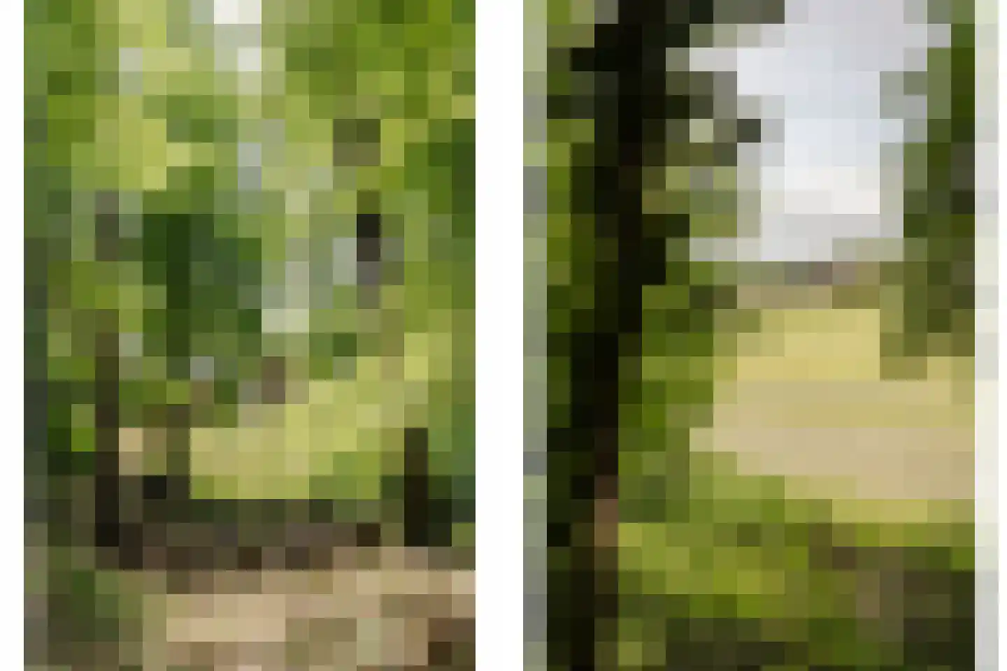 Bekslaan 15 Vogelenzang thumbnail 45