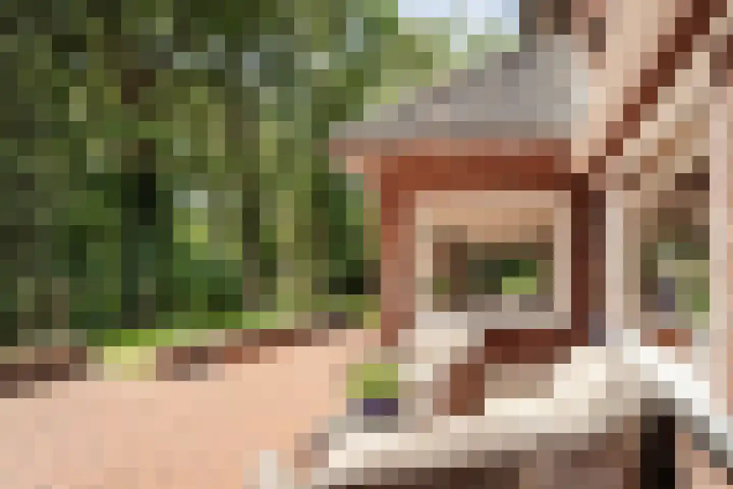 Bekslaan 15 Vogelenzang thumbnail 48