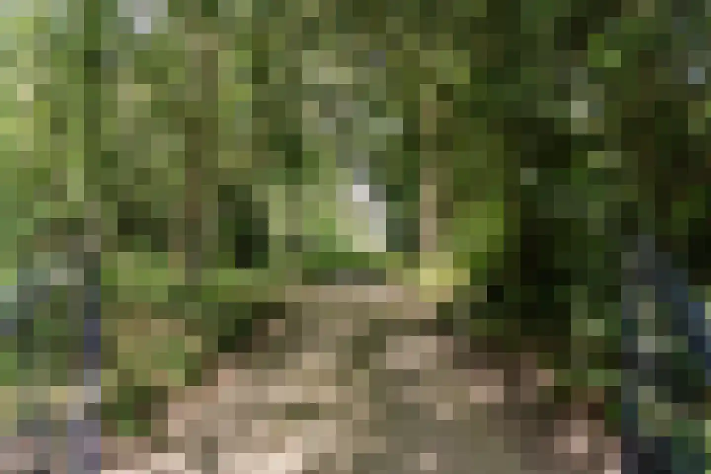 Bekslaan 15 Vogelenzang thumbnail 5