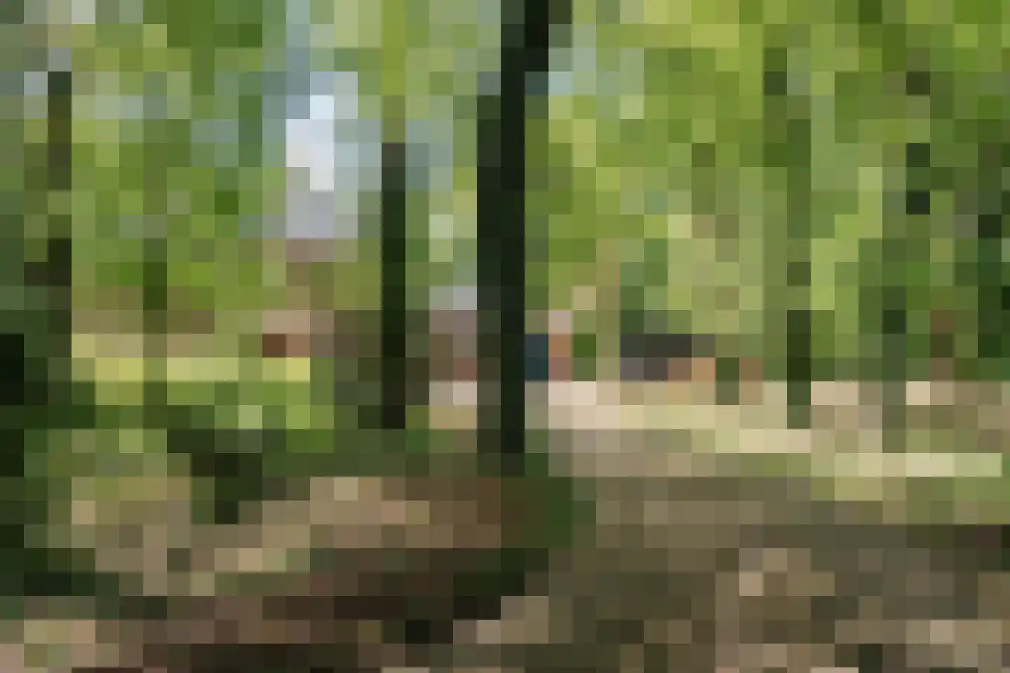 Bekslaan 15 Vogelenzang thumbnail 6