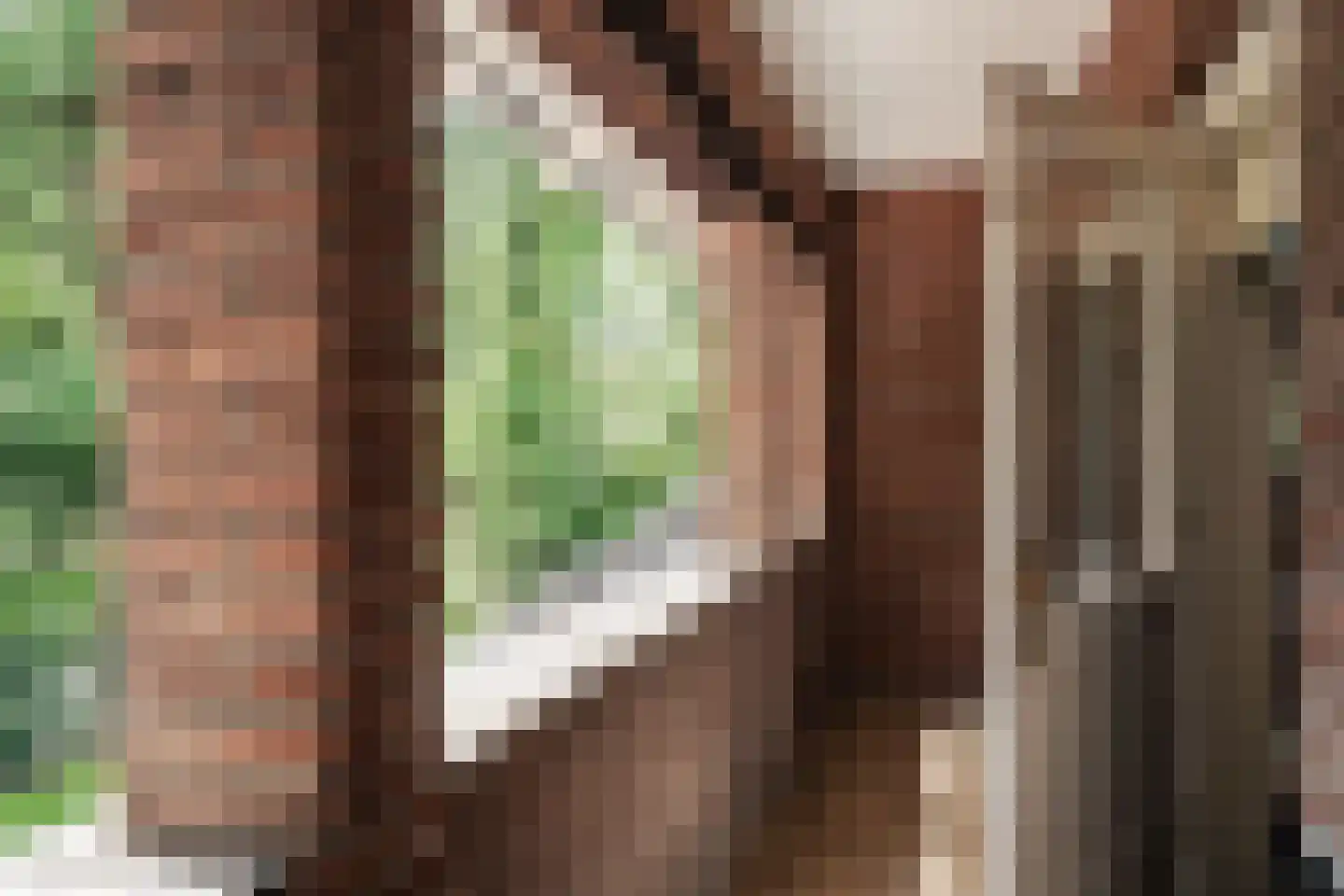 Bekslaan 15 Vogelenzang thumbnail 60