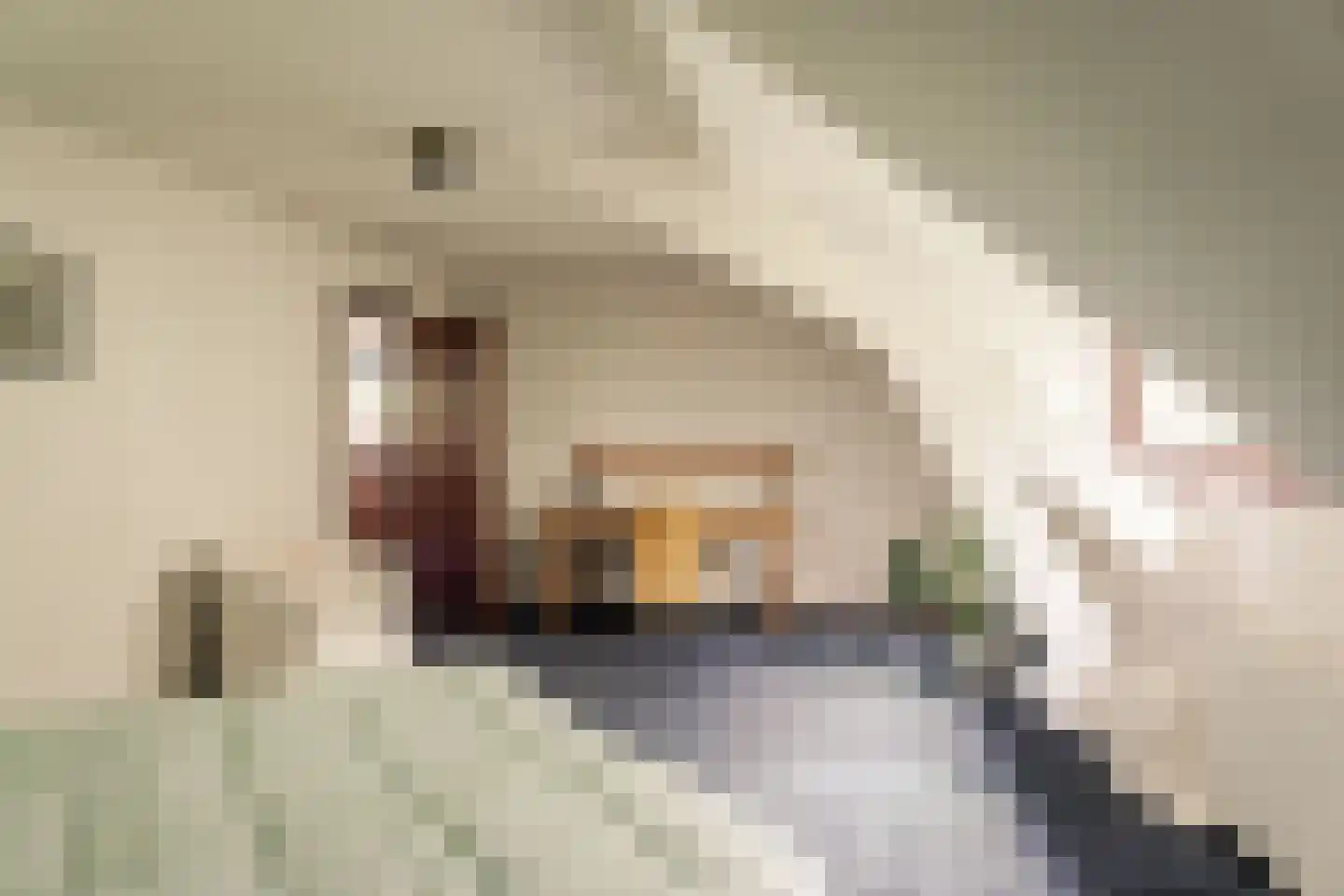 Bekslaan 15 Vogelenzang thumbnail 72