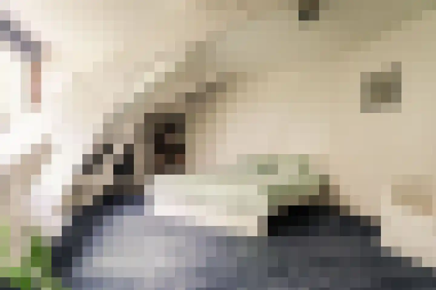 Bekslaan 15 Vogelenzang thumbnail 73