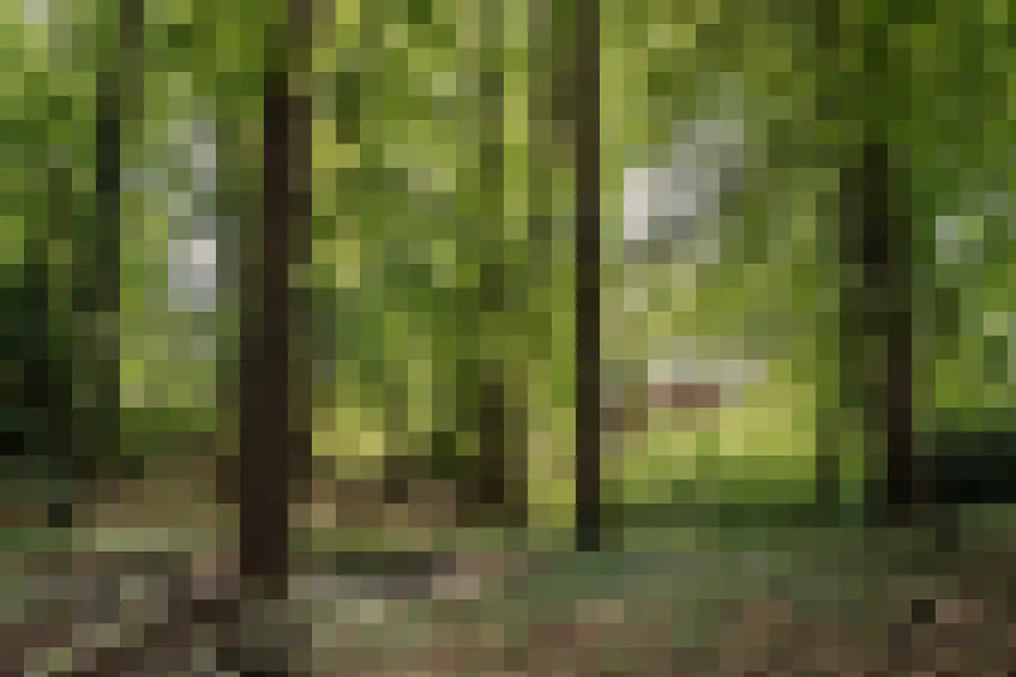 Bekslaan 15 Vogelenzang thumbnail 79