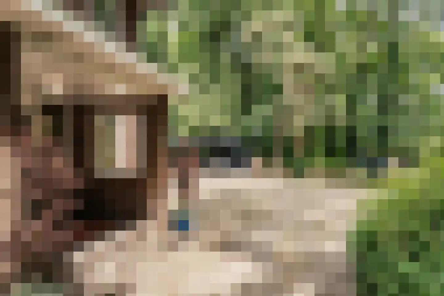 Bekslaan 15 Vogelenzang thumbnail 80