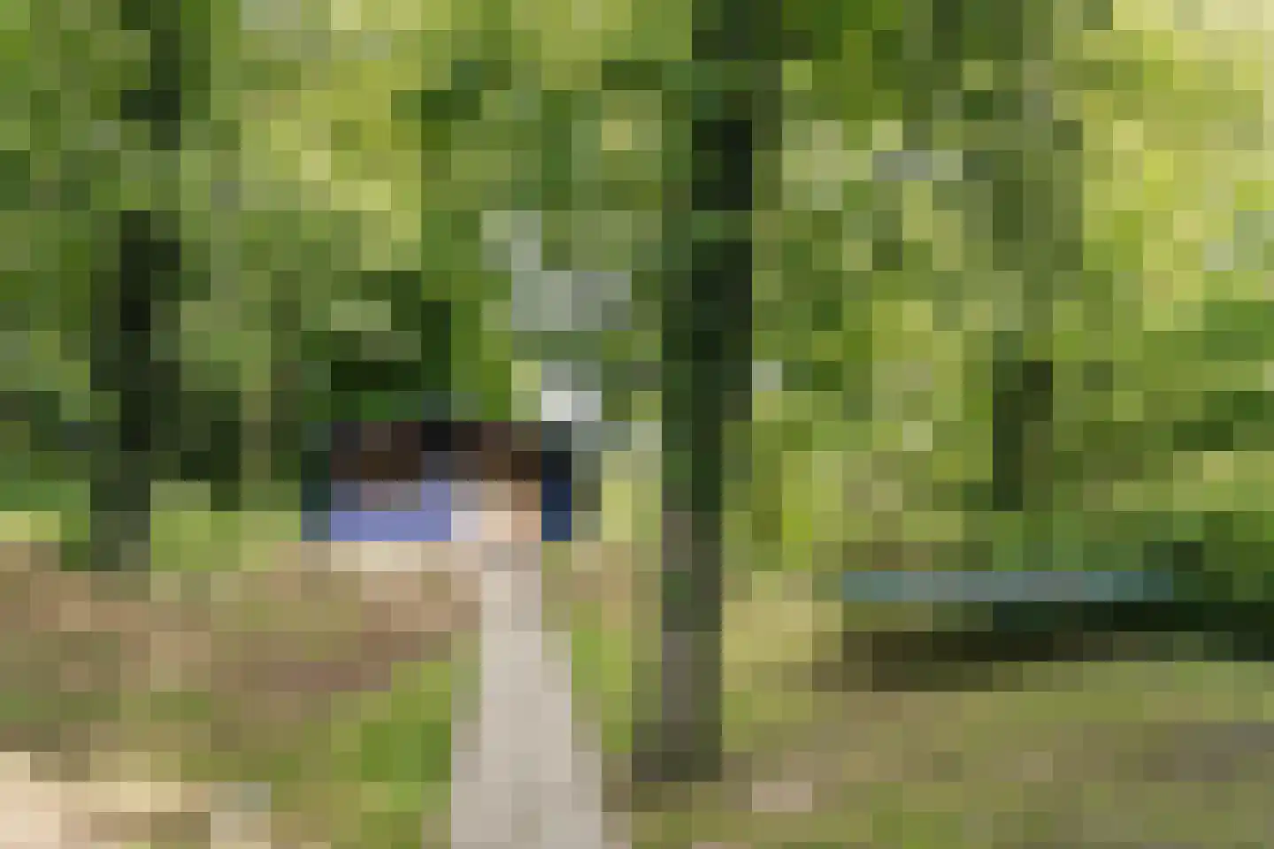 Bekslaan 15 Vogelenzang thumbnail 81