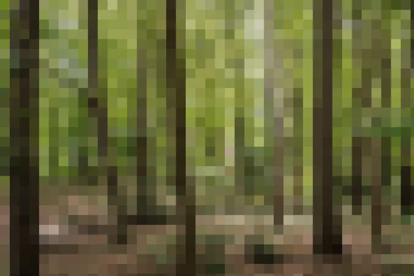 Bekslaan 15 Vogelenzang thumbnail 82