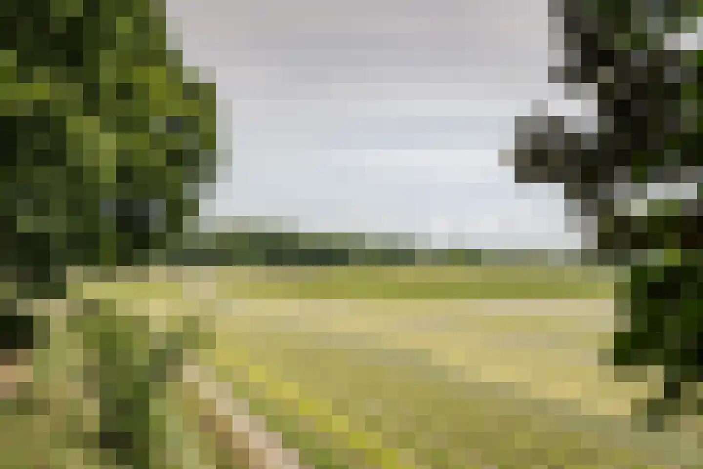 Bekslaan 15 Vogelenzang thumbnail 83