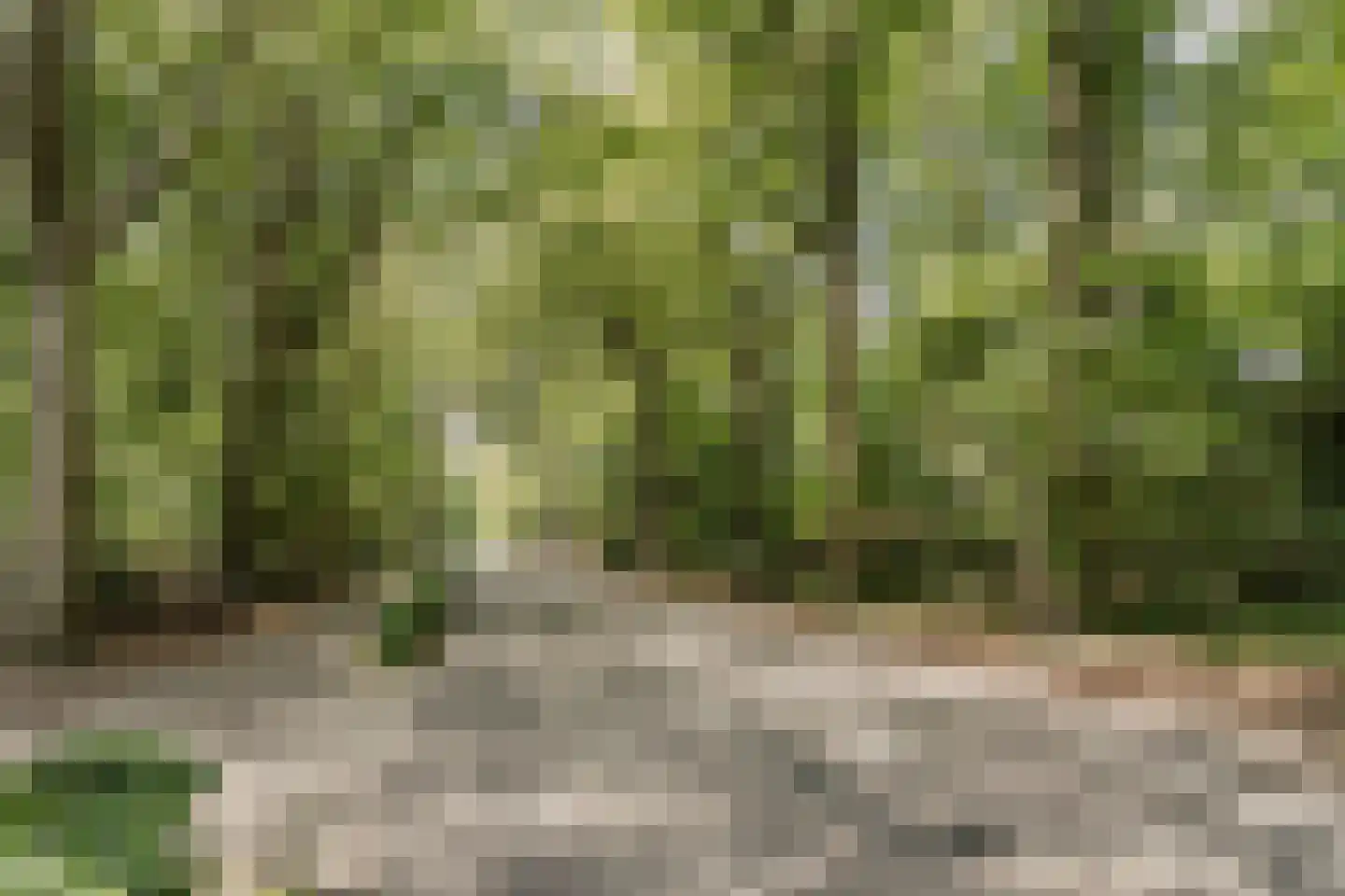 Bekslaan 15 Vogelenzang thumbnail 84