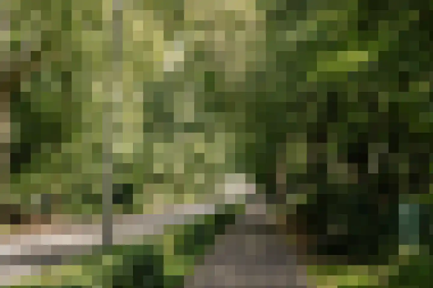 Bekslaan 15 Vogelenzang thumbnail 85