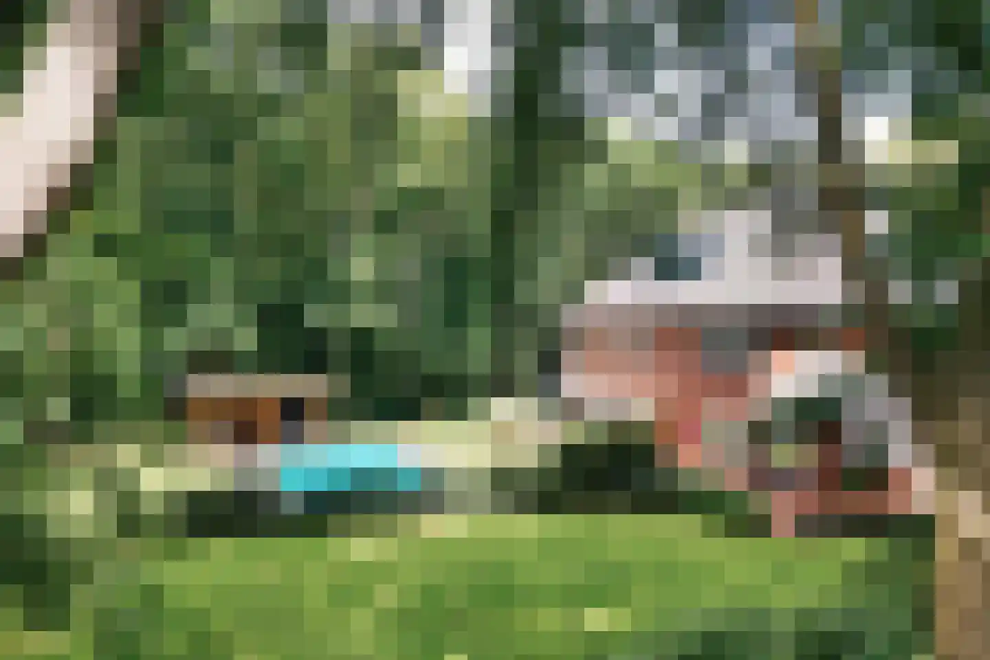 Bekslaan 15 Vogelenzang thumbnail 86