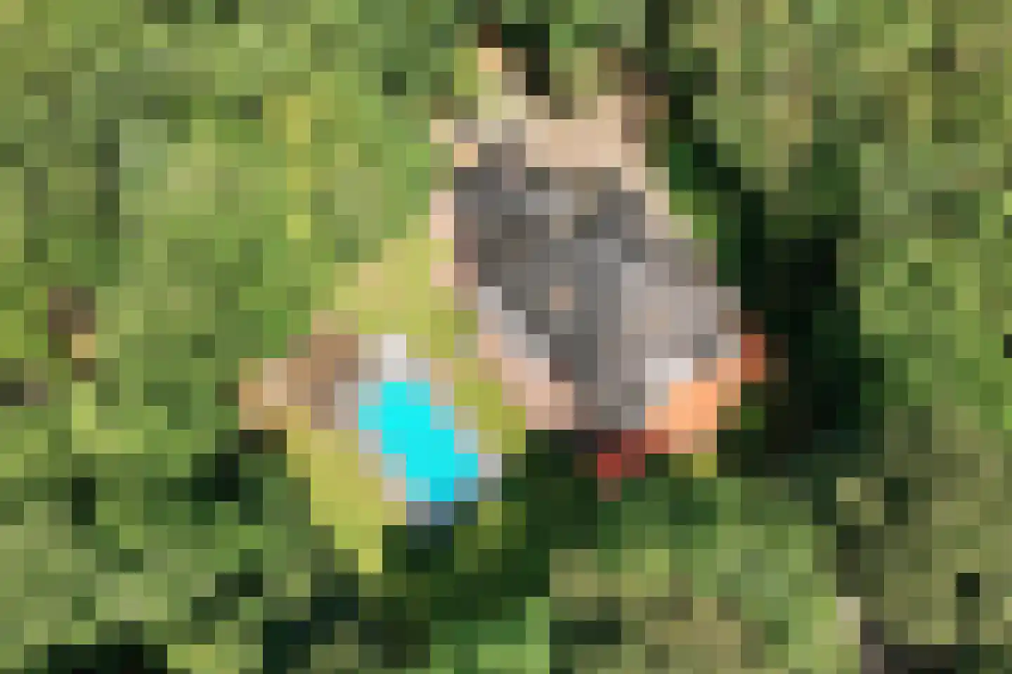 Bekslaan 15 Vogelenzang thumbnail 87