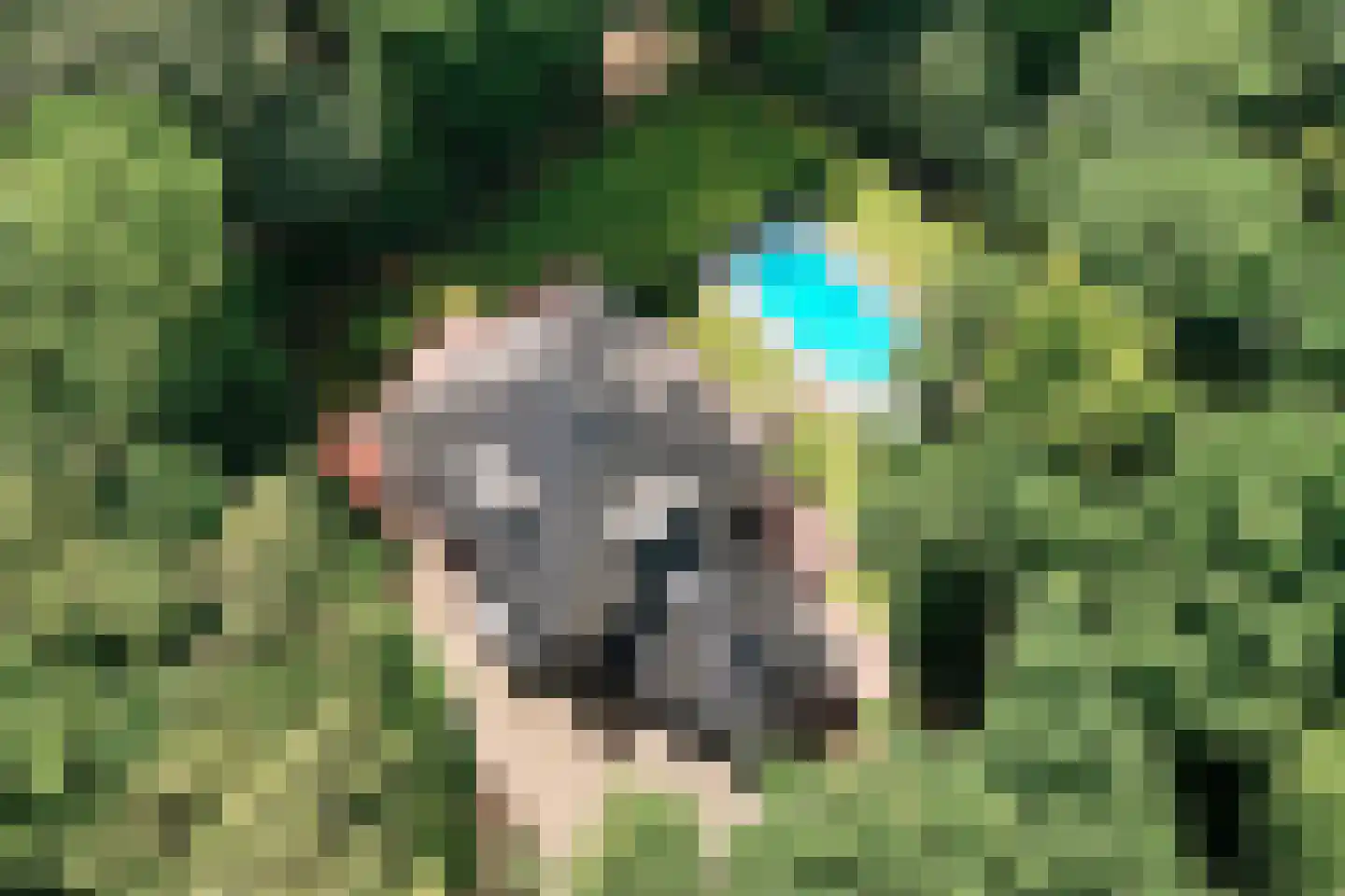 Bekslaan 15 Vogelenzang thumbnail 89