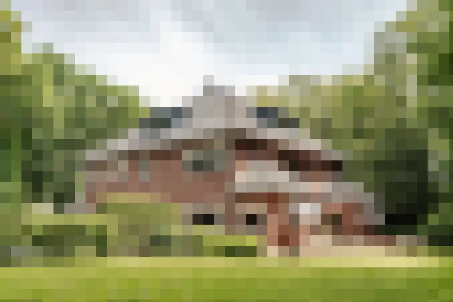 Bekslaan 15 Vogelenzang thumbnail 9