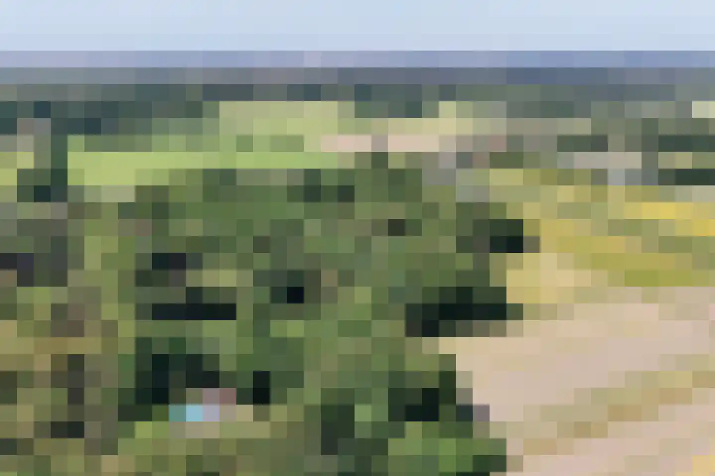 Bekslaan 15 Vogelenzang thumbnail 90