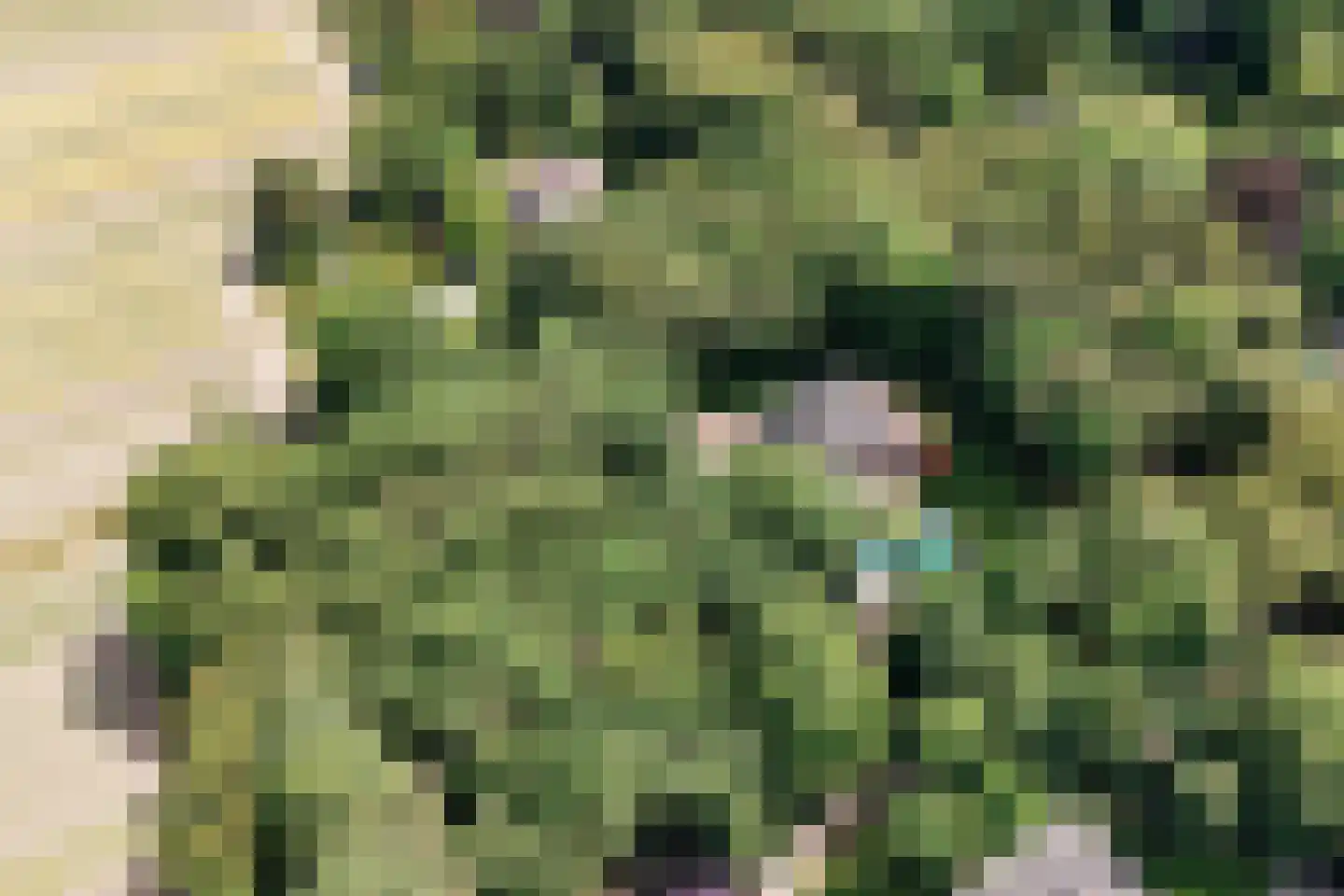 Bekslaan 15 Vogelenzang thumbnail 91