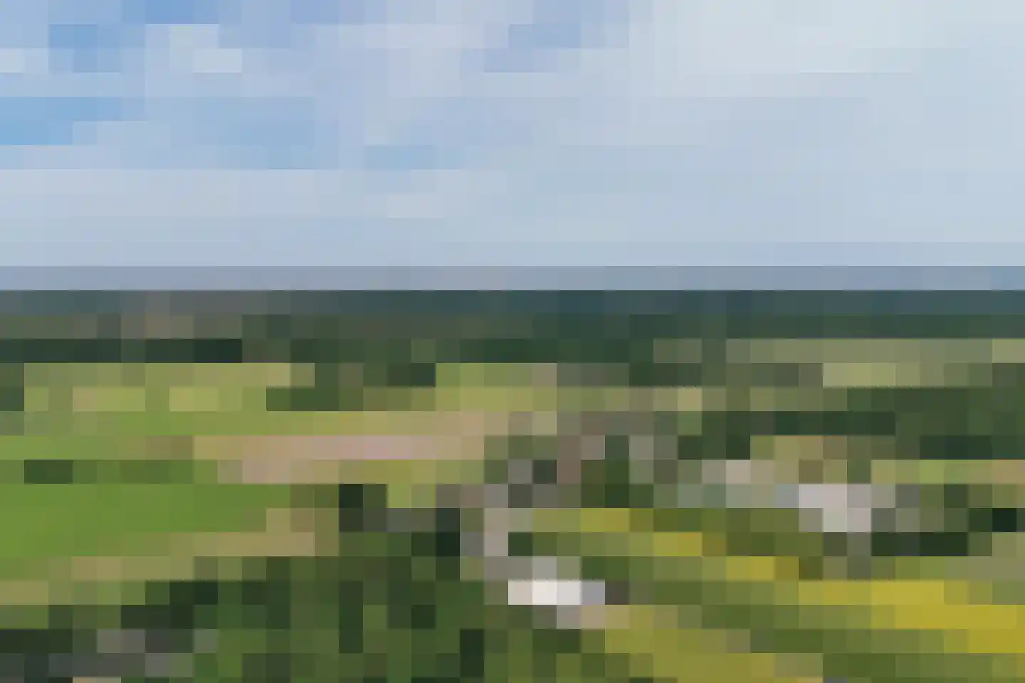 Bekslaan 15 Vogelenzang thumbnail 92