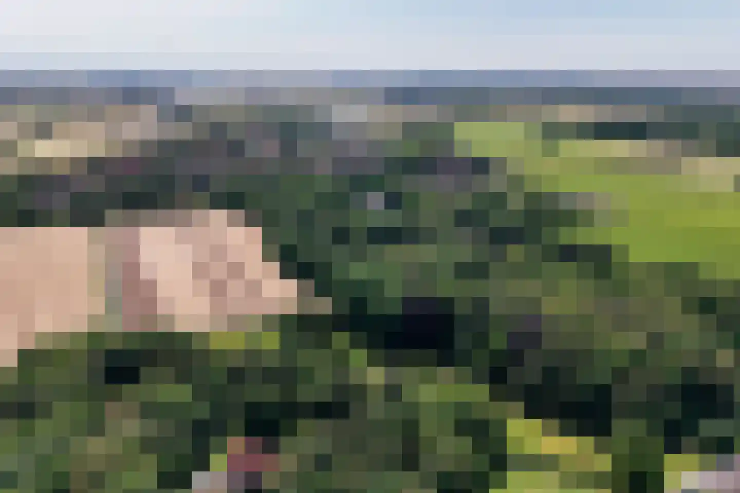 Bekslaan 15 Vogelenzang thumbnail 93