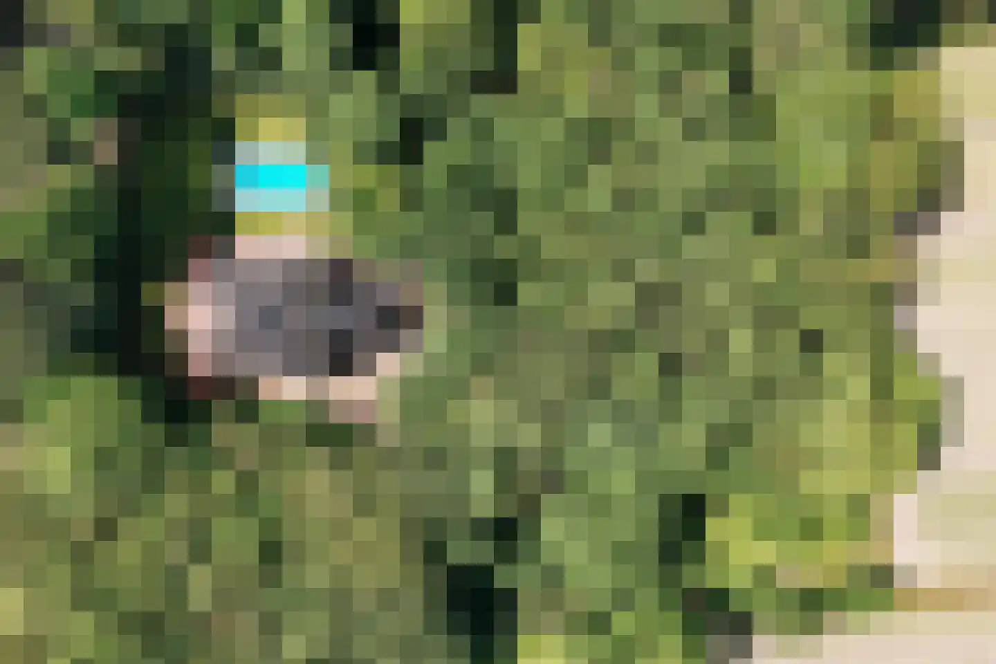 Bekslaan 15 Vogelenzang thumbnail 94