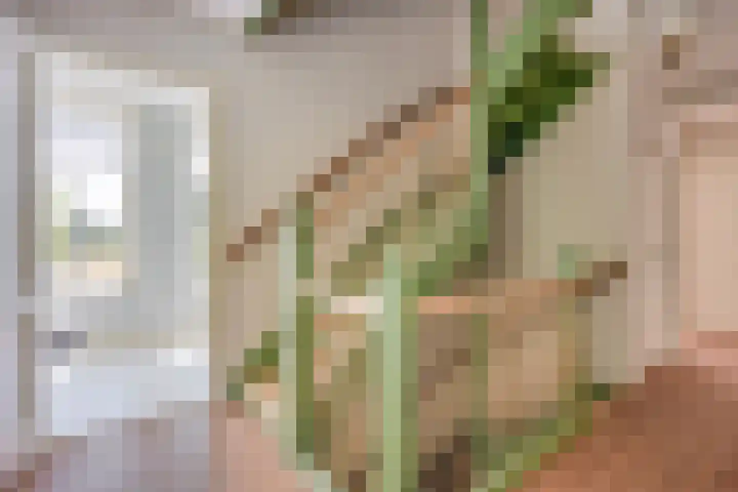 Bekslaan 18 Vogelenzang thumbnail 22