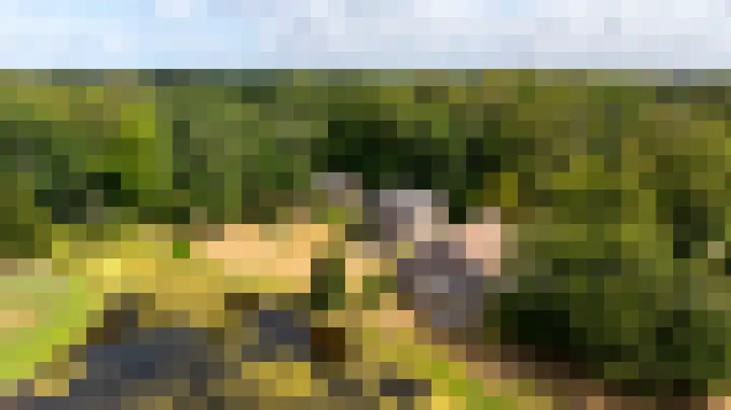 Bekslaan 18 Vogelenzang thumbnail 4
