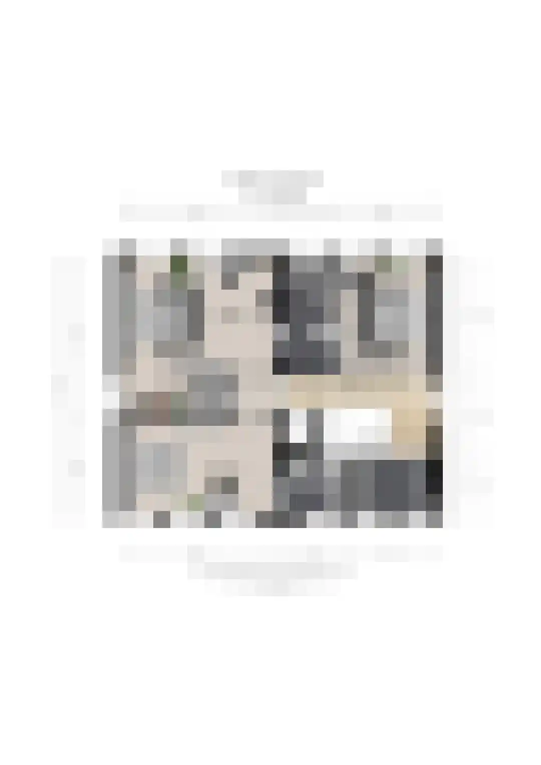 Bekslaan 18 Vogelenzang thumbnail 43
