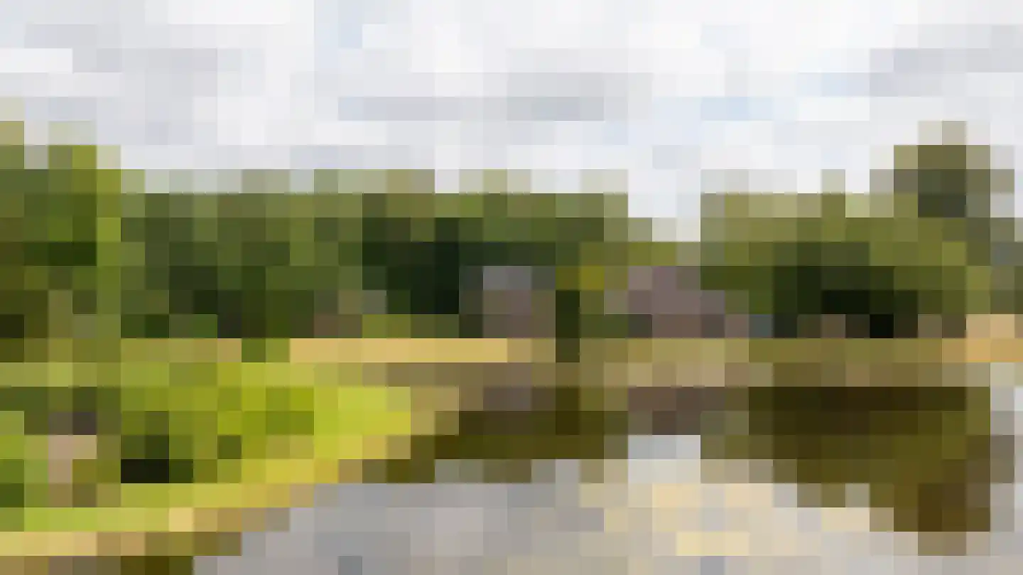 Bekslaan 18 Vogelenzang thumbnail 6