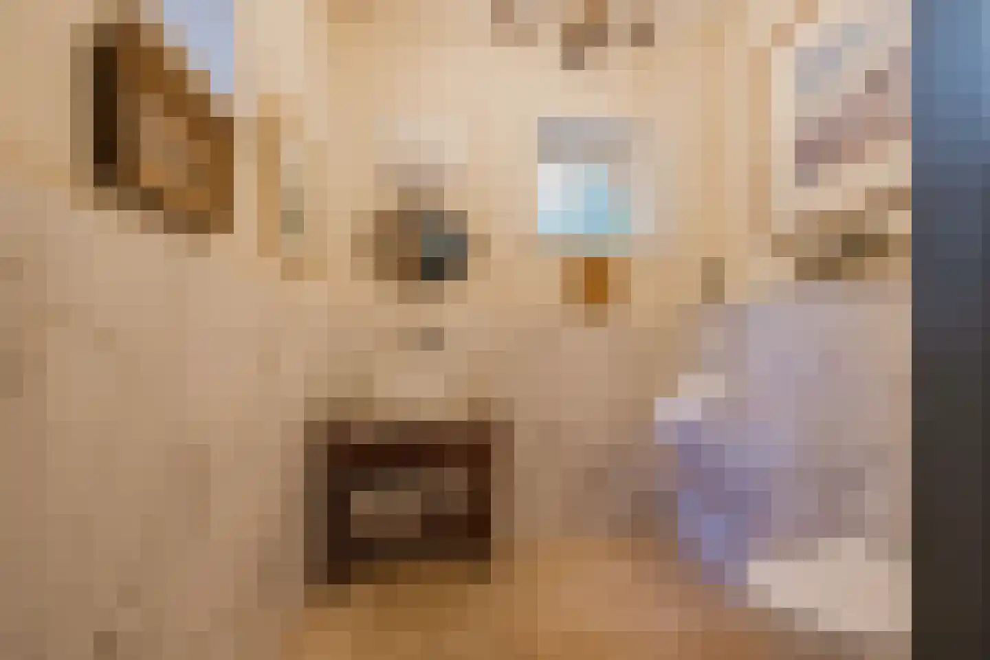 Bekslaan 58 Vogelenzang thumbnail 10