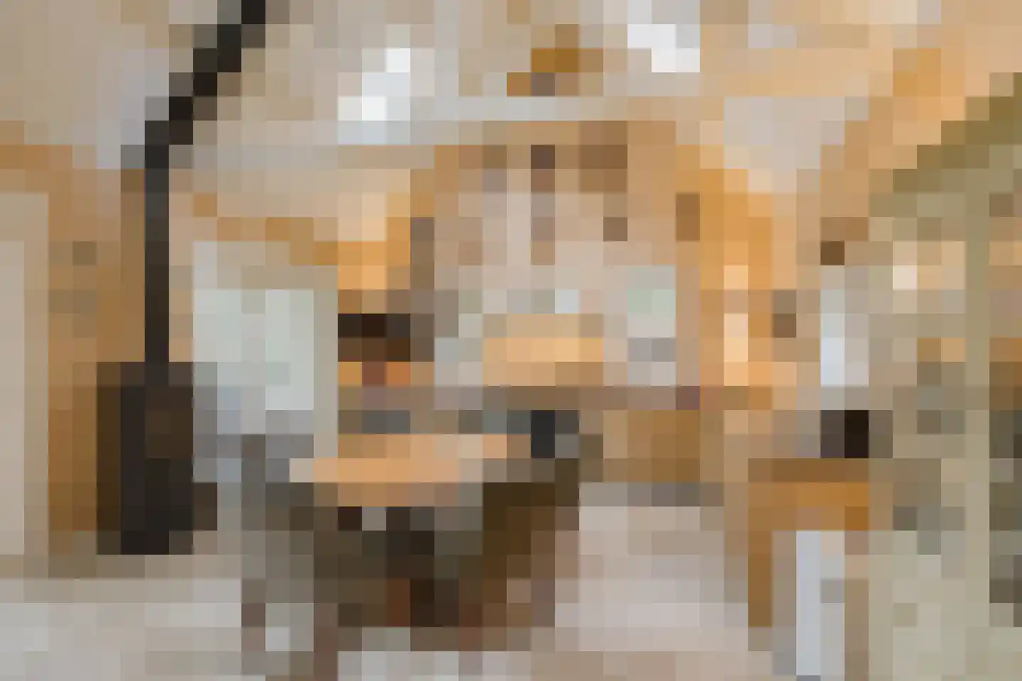 Bekslaan 58 Vogelenzang thumbnail 25