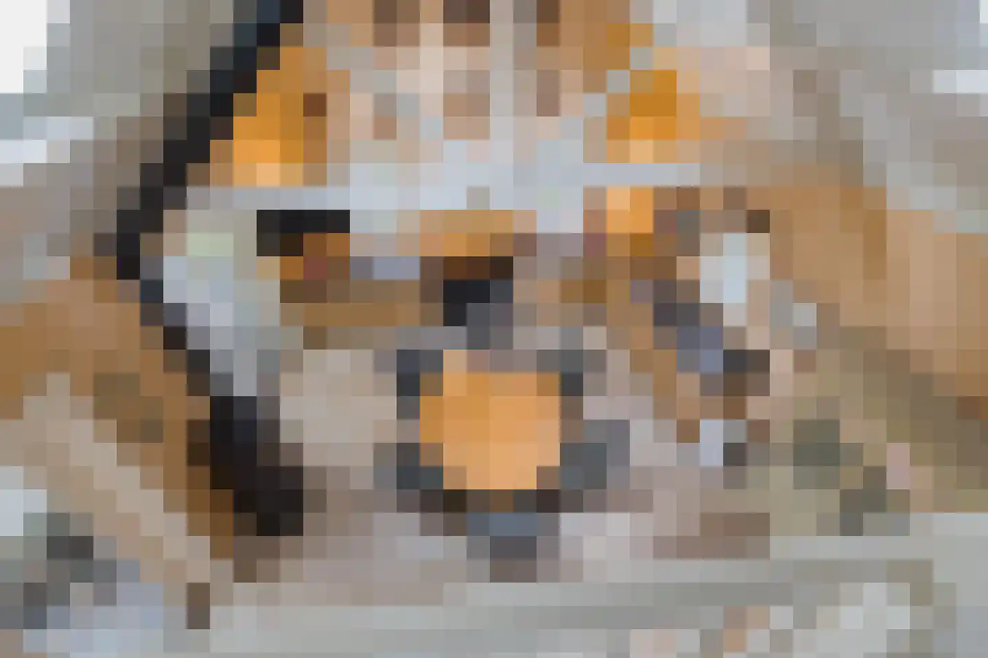 Bekslaan 58 Vogelenzang thumbnail 36