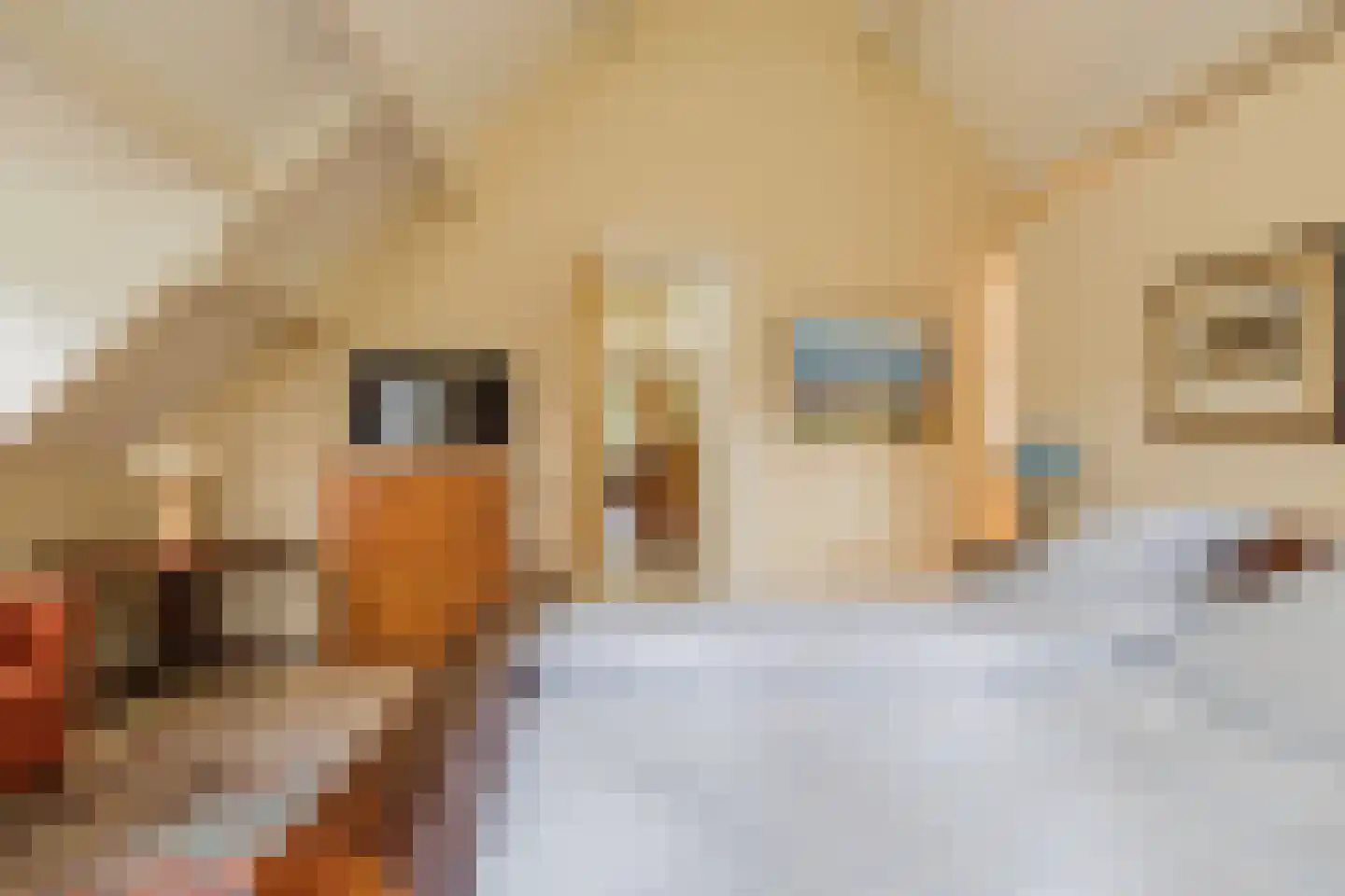 Bekslaan 58 Vogelenzang thumbnail 41