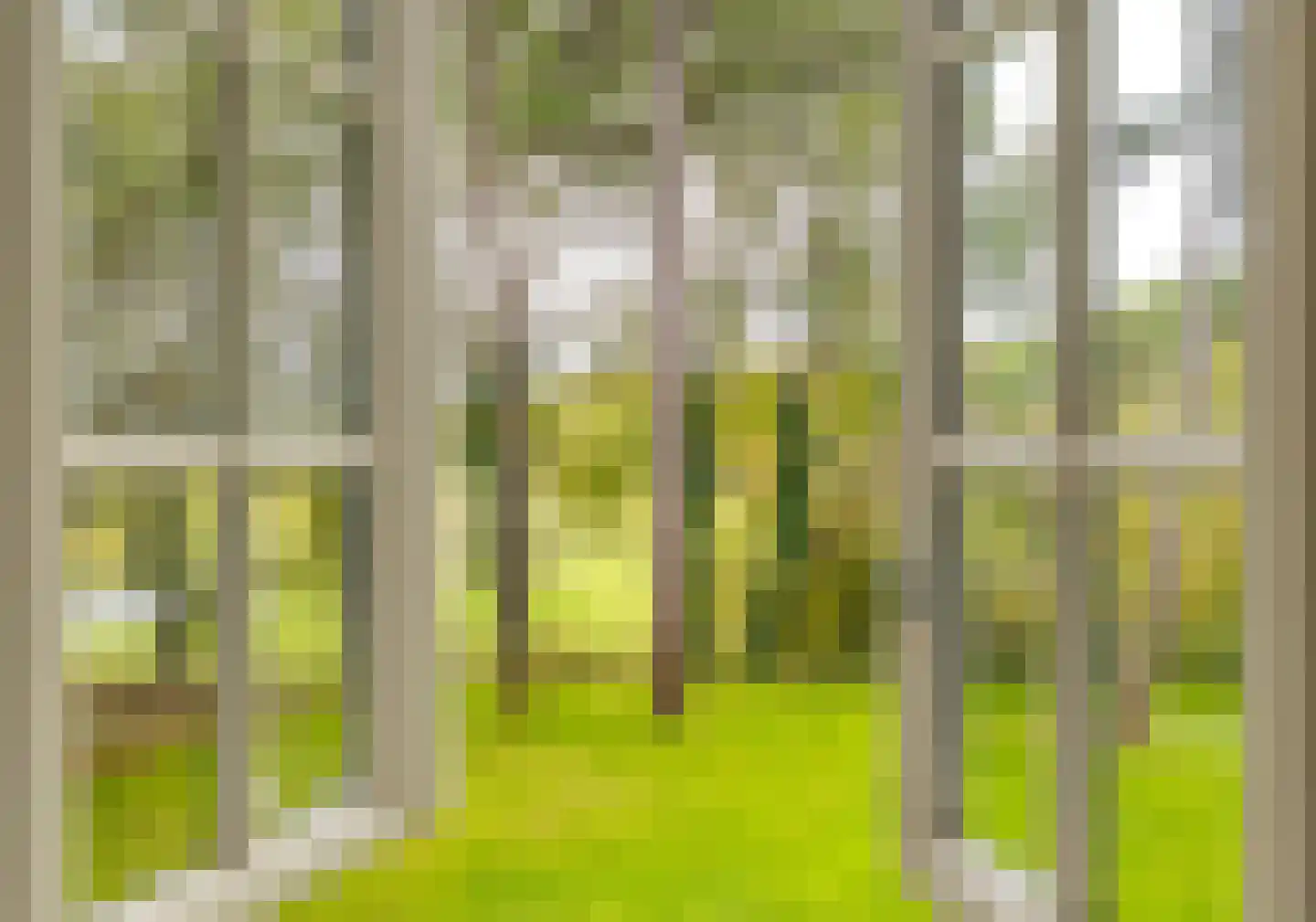 Bekslaan 58 Vogelenzang thumbnail 46